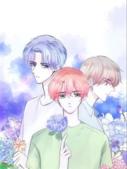 stay in summer [db:作者] 漫画封面